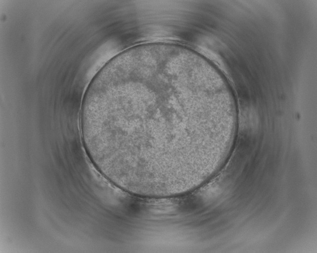 X0000076081338200610152243