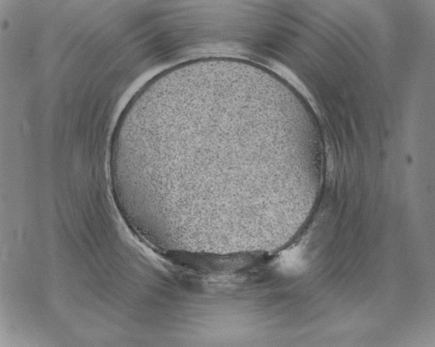 X0000076081339200610152243