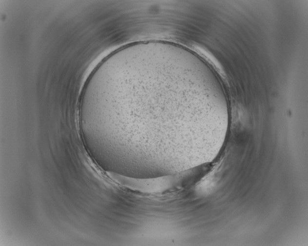 X0000076081340200610152243