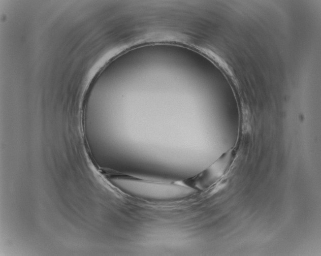 X0000076081342200610152243