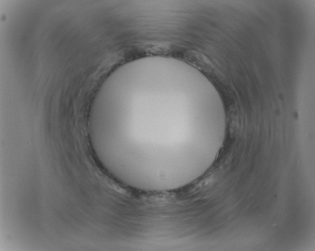 X0000076081345200610152242