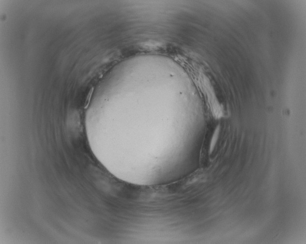 X0000076081347200610152242