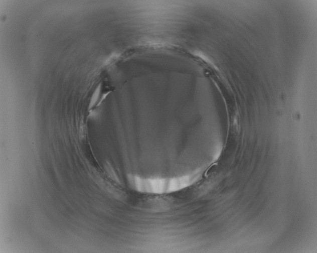 X0000076081348200610152242