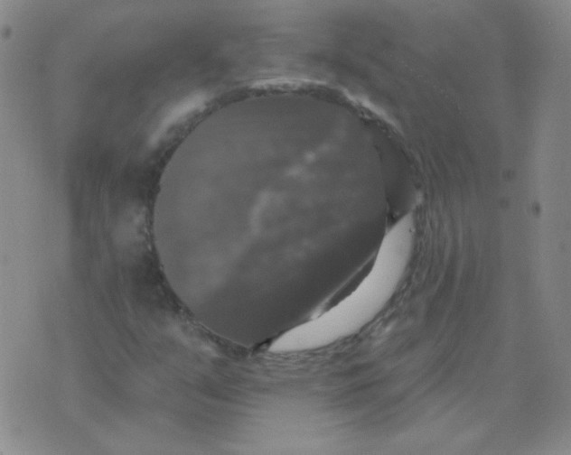 X0000076081351200610152242