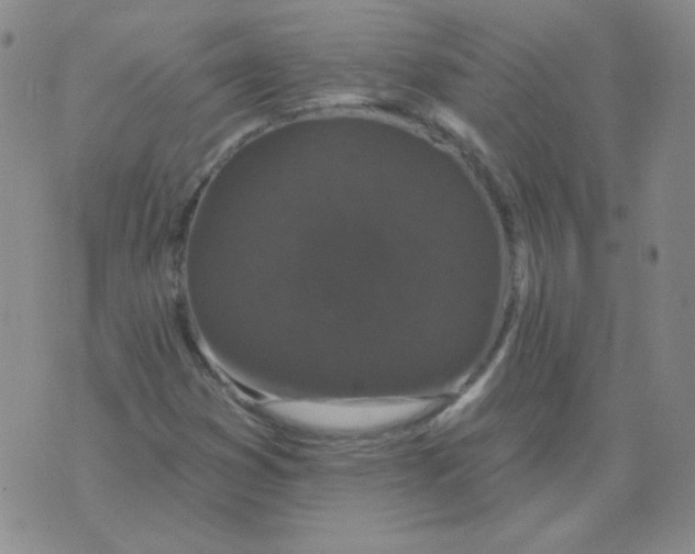 X0000076081353200610152242