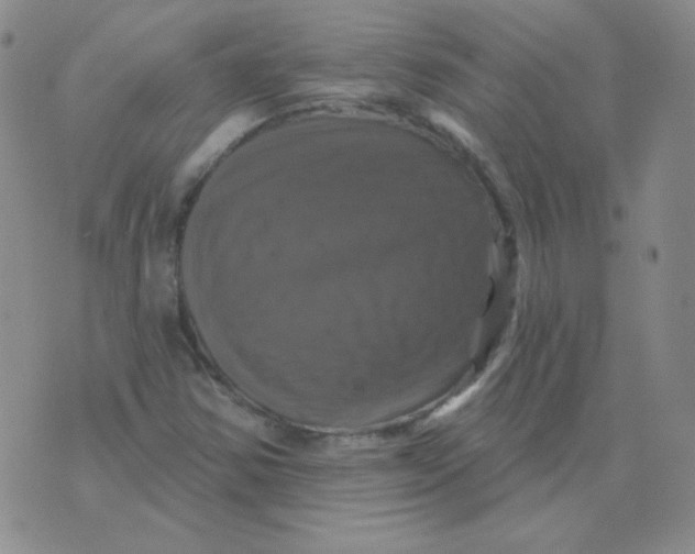 X0000076081354200610152242