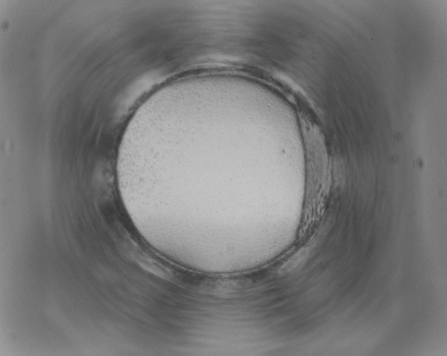 X0000076081355200610152242