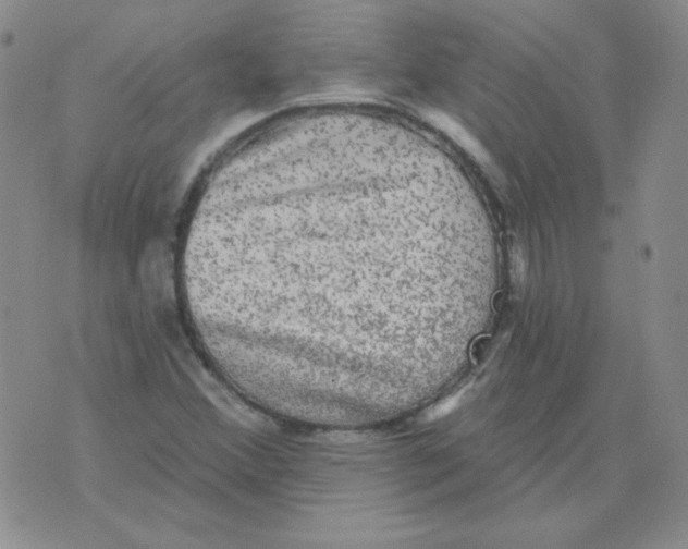 X0000076081356200610152242