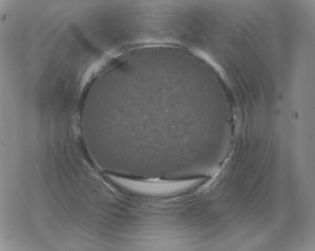 X0000076081357200610152242