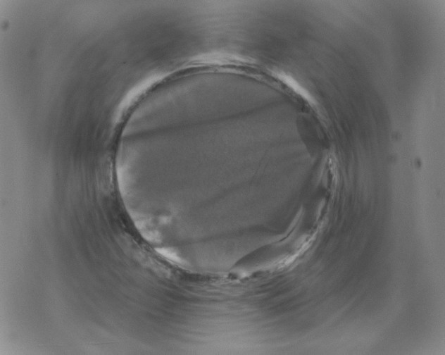 X0000076081358200610152242