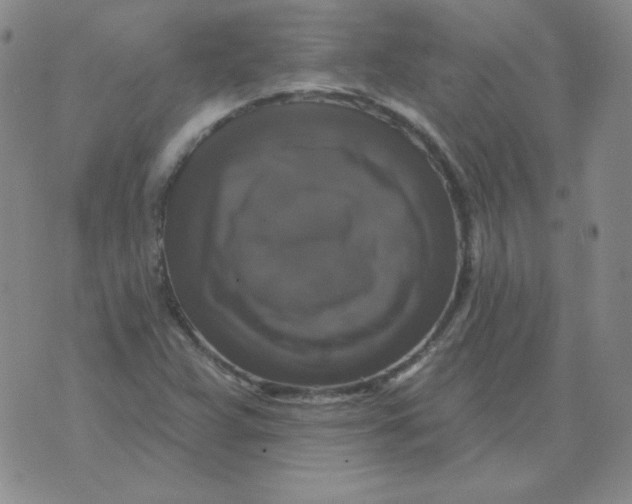 X0000076081359200610152242