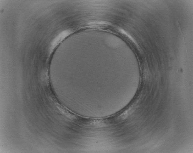 X0000076081362200610152242