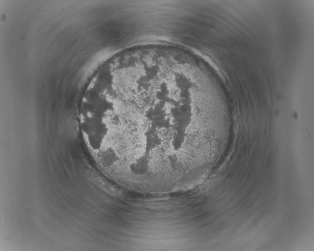 X0000076081363200610152242