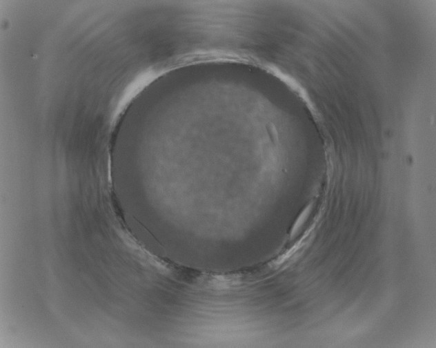 X0000076081365200610152242