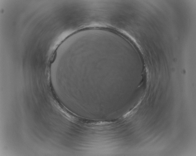 X0000076081367200610152242