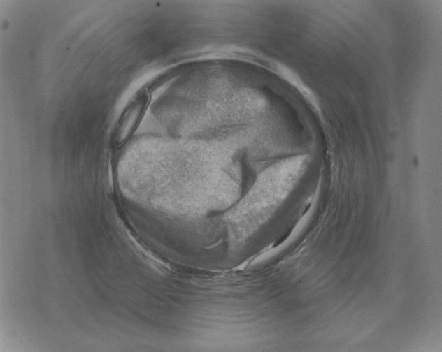 X0000076081368200610152242