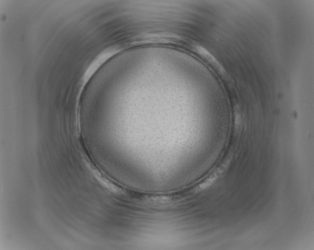 X0000076081370200610152242