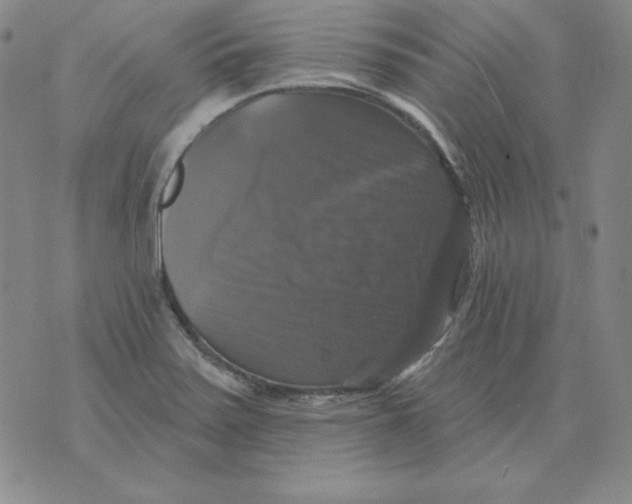 X0000076081371200610152242