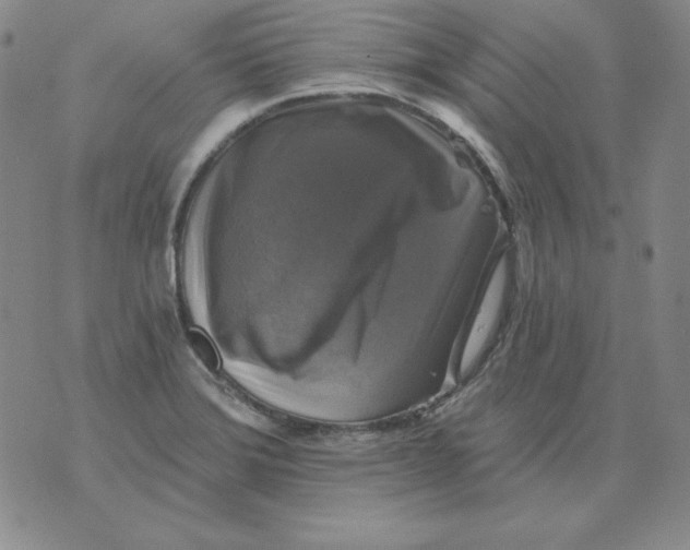 X0000076081372200610152242