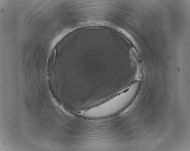 X0000076081373200610152242