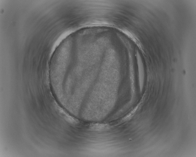 X0000076081374200610152242