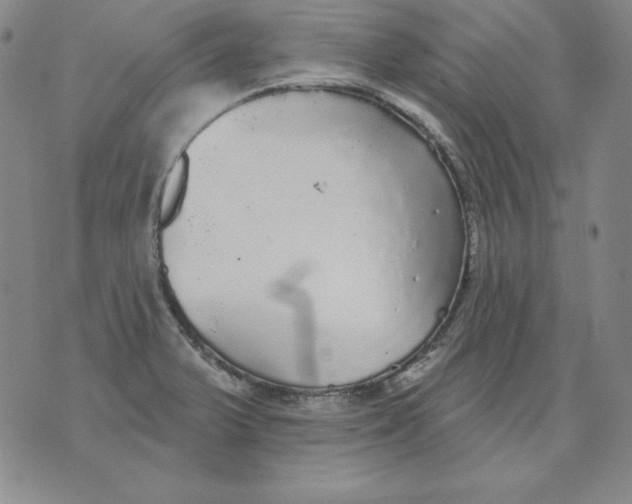 X0000076081375200610152242