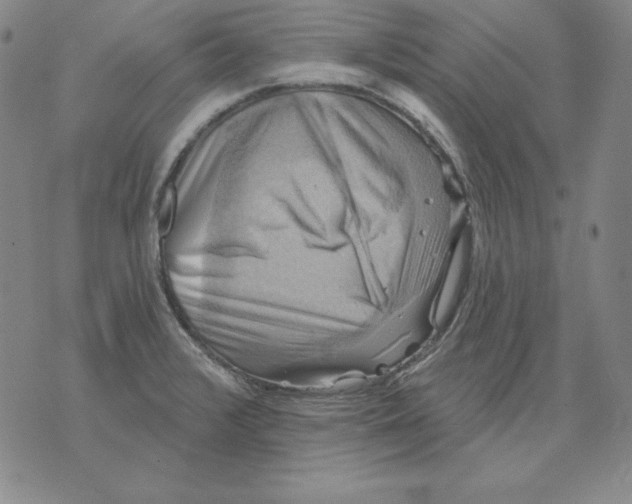 X0000076081376200610152242