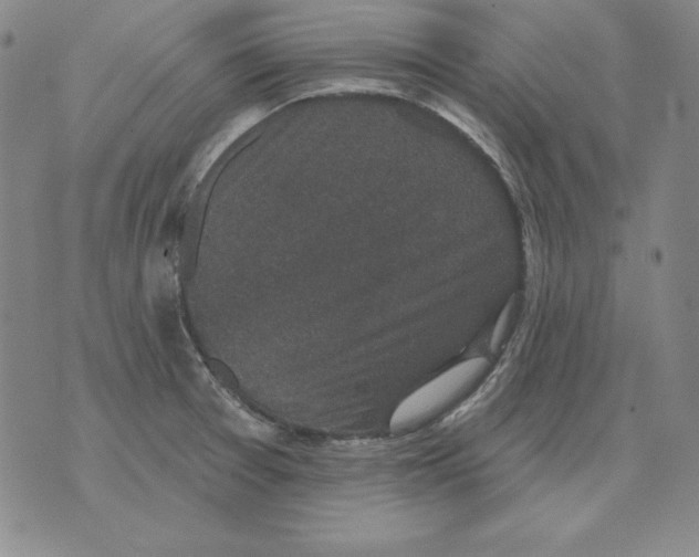 X0000076081377200610152242