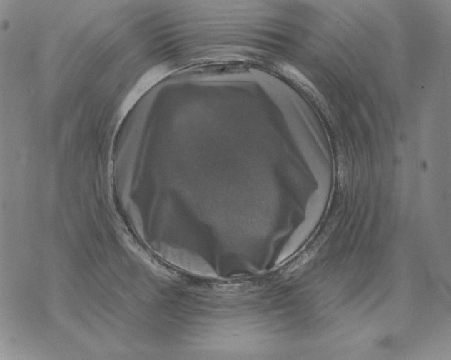 X0000076081378200610152242