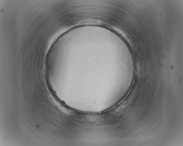 X0000076081379200610152242