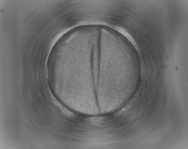 X0000076081380200610152242