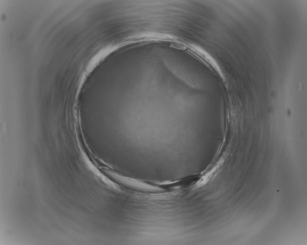 X0000076081381200610152242