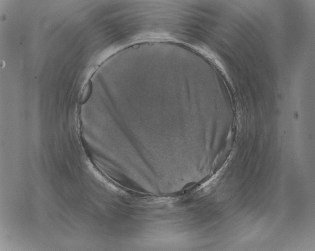 X0000076081382200610152242