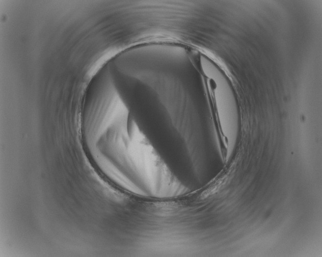 X0000076081383200610152242