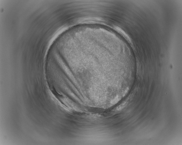 X0000076081384200610152242