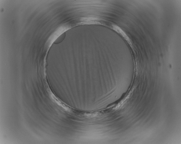 X0000076081386200610152242