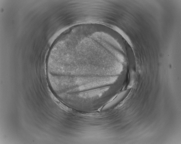 X0000076081388200610152242