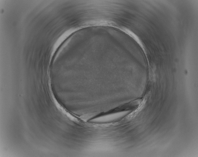 X0000076081389200610152242