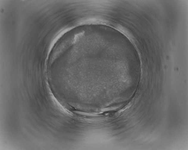 X0000076081392200610152242