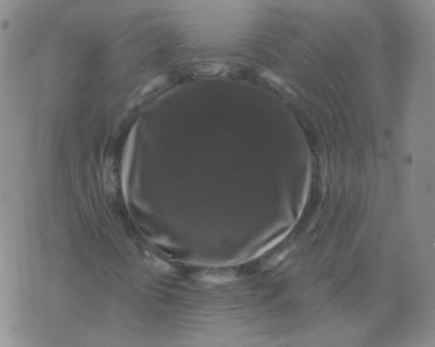 X0000076081394200610152241