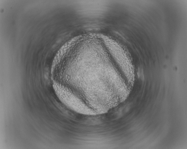 X0000076081396200610152241