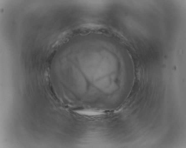 X0000076081397200610152241