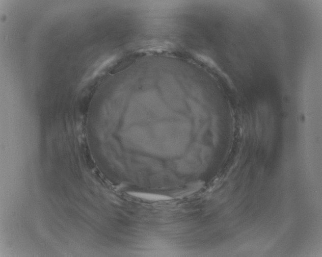 X0000076081399200610152241