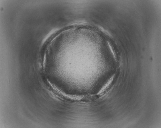 X0000076081400200610152241