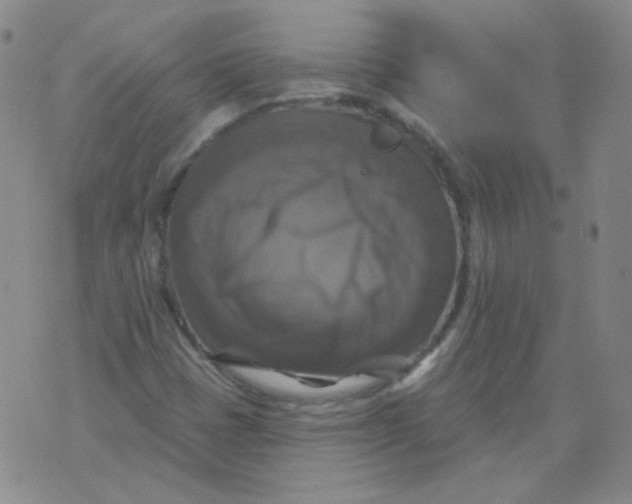 X0000076081401200610152241