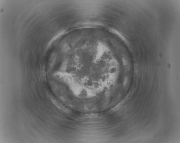 X0000076081403200610152241