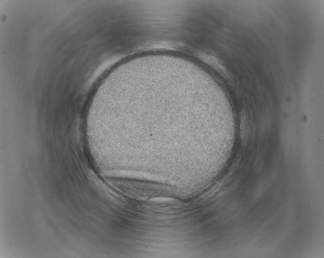 X0000076081404200610152241