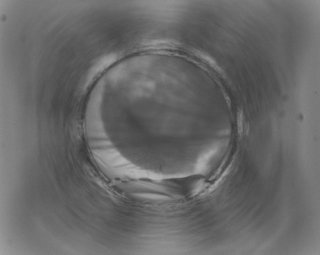 X0000076081405200610152241