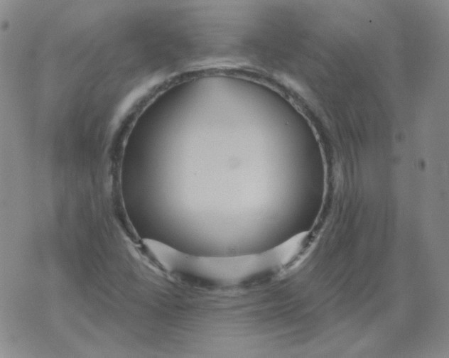 X0000076081406200610152241