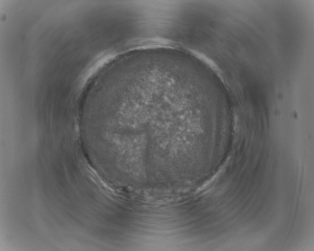 X0000076081407200610152241